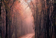 阿特兰夫对决卡尔绍格，胜负未卜