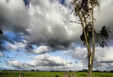 荷兰大胜瑞士，晋级欧国联八强