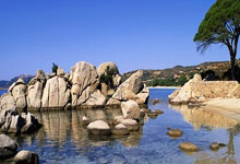 汉姆比尔斯对阵克尔比切斯科，谁将取得胜利？